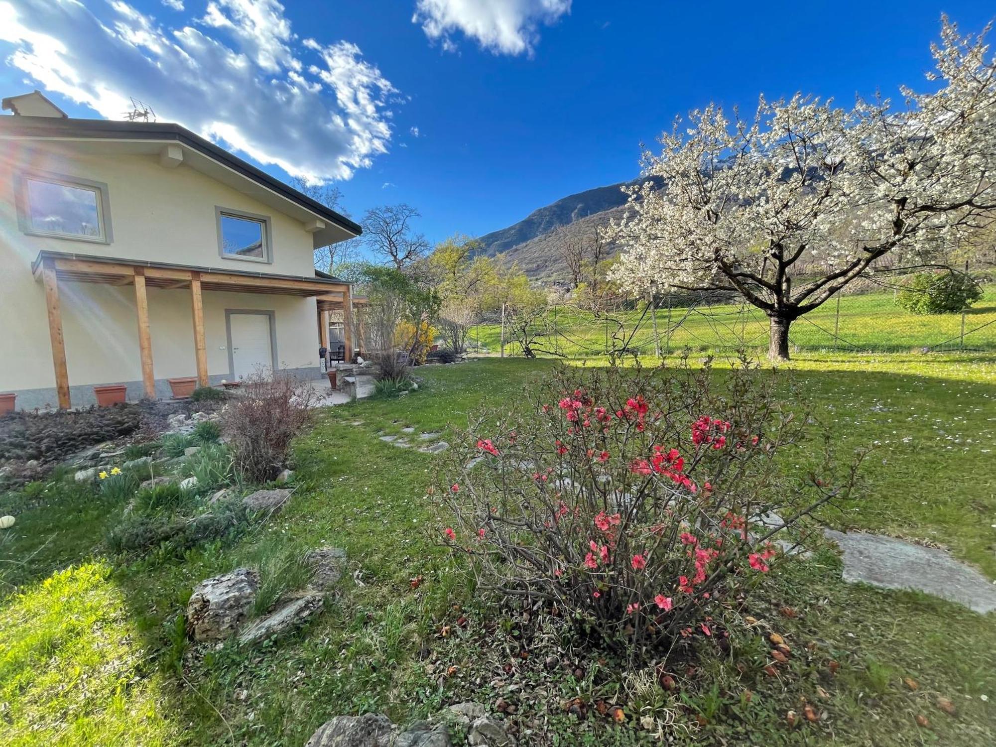 La Casina Di Oscar Ad Ao V Combe Vda Quart 0014 E 00I6 Leilighet Eksteriør bilde